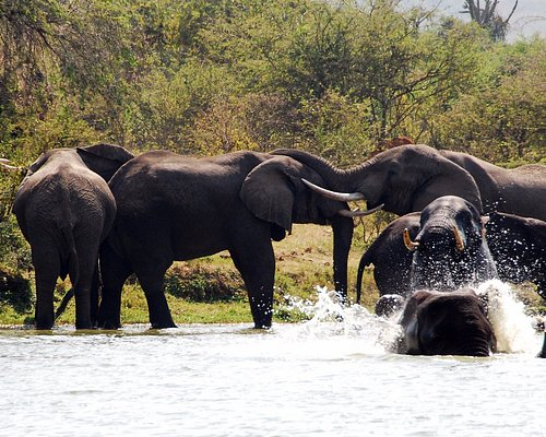 Kazinga Channel