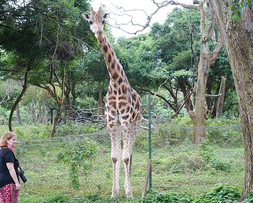 Uganda Wildlife Conservation Centre